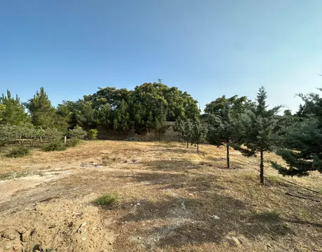 Mardakan