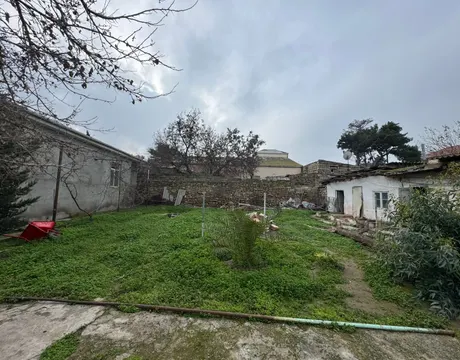 Shuvalan