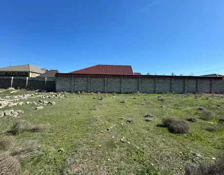 Mardakan
