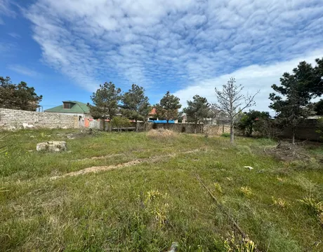 Mardakan