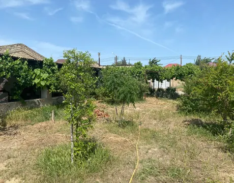 Shuvalan