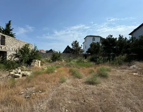 Şağan