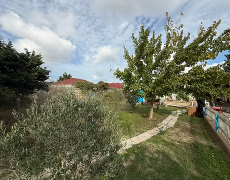 Mardakan