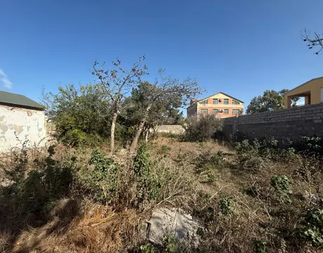Shuvalan