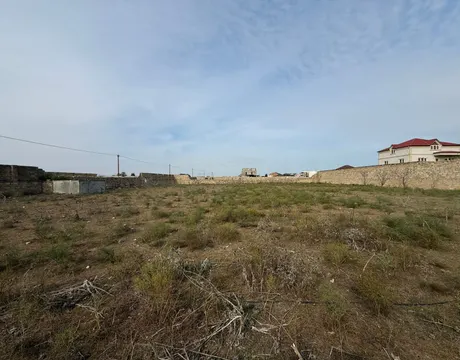 Qala