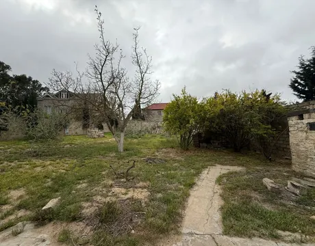 Mardakan