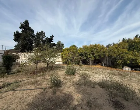 Shuvalan