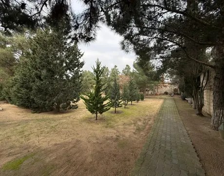 Mardakan