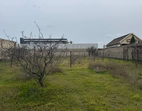 Mardakan
