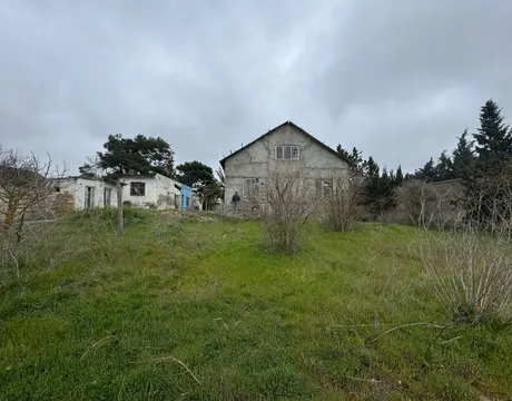 Mardakan