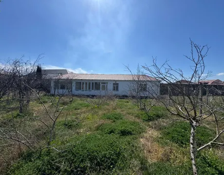 Mardakan