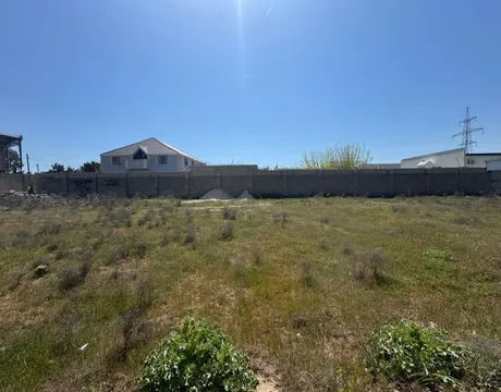 Mardakan
