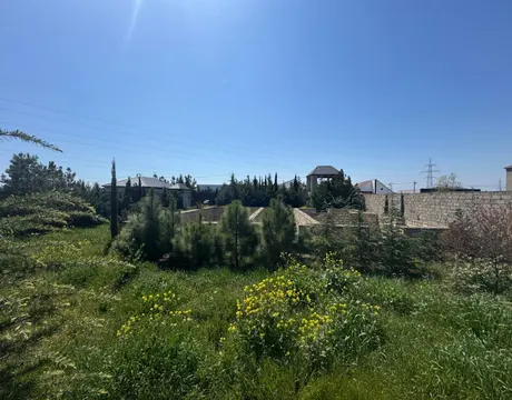 Mardakan