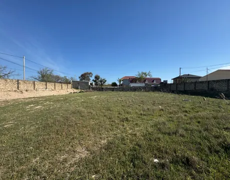 Buzovna