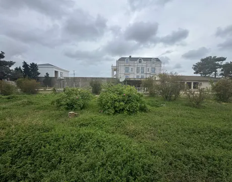 Mardakan