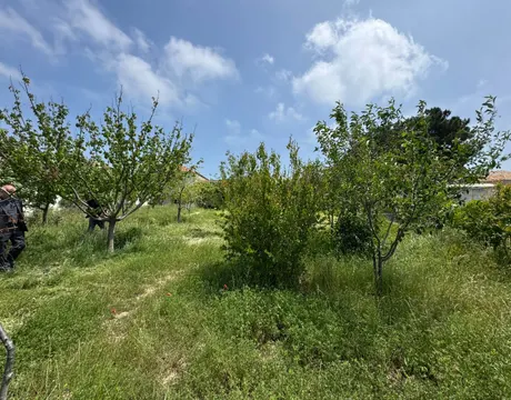 Mardakan