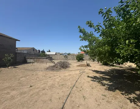 Shuvalan