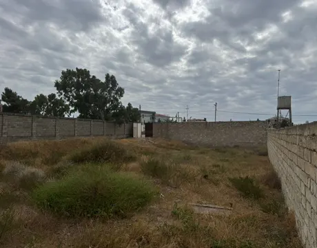 Shuvalan