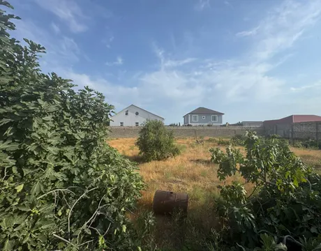 Mardakan