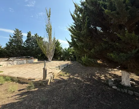 Mardakan