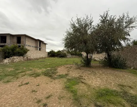 Mardakan