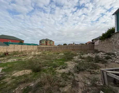 Şağan