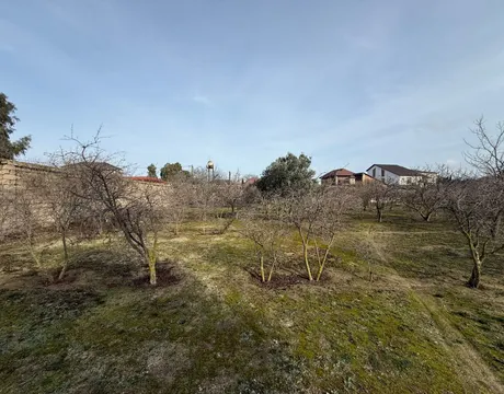 Mardakan