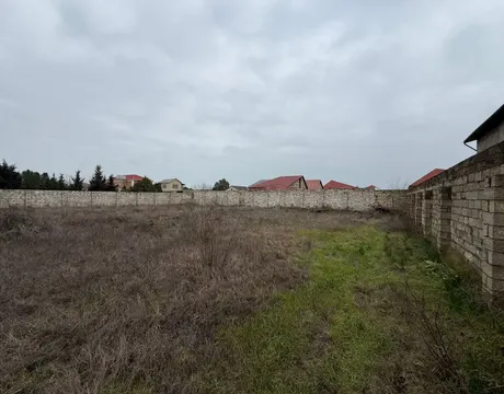 Mardakan