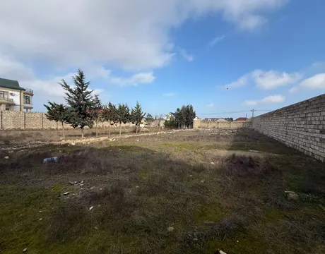 Mardakan