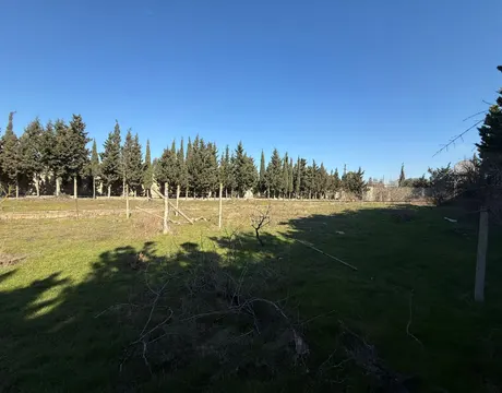Mardakan
