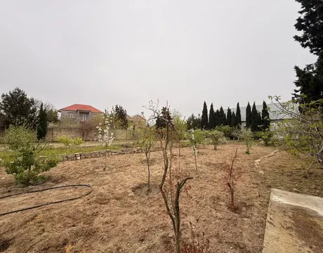 Mardakan