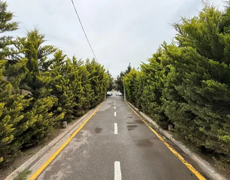 Shuvalan