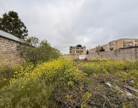 Mardakan