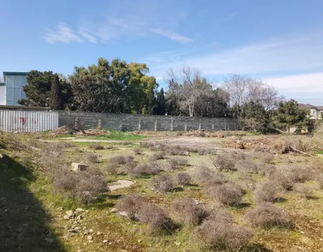 Mardakan