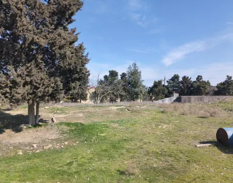Mardakan