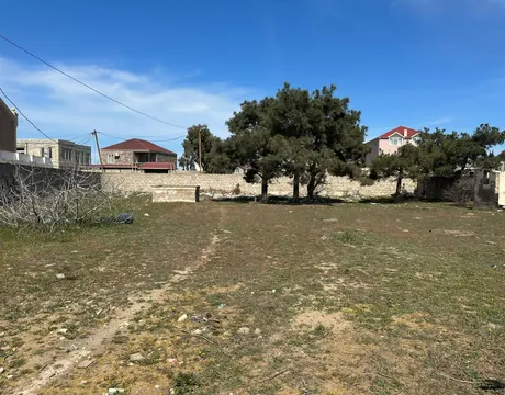 Shuvalan