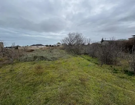 Pirşağı