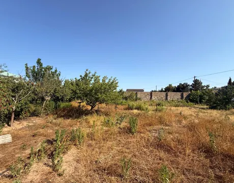 Shuvalan