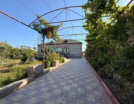 Mardakan
