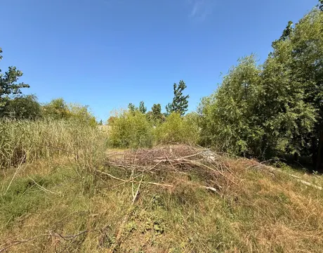Şağan