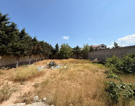 Mardakan