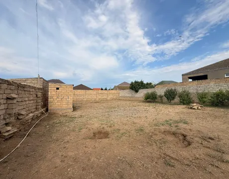 Şağan