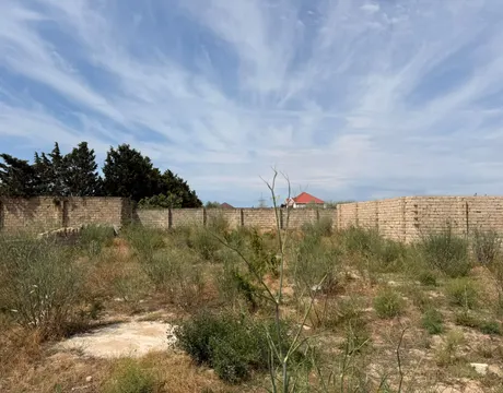 Şüvəlan