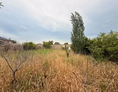Buzovna