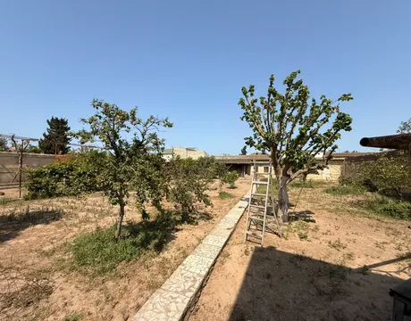 Shuvalan