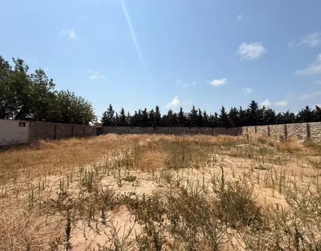 Shuvalan