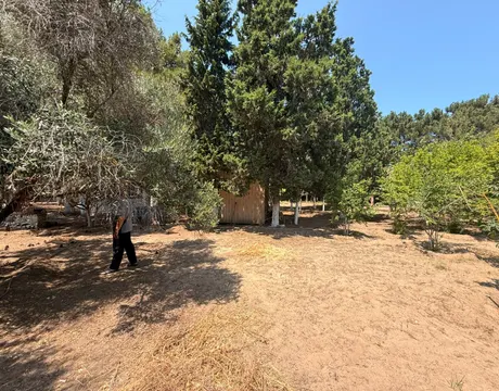 Mardakan