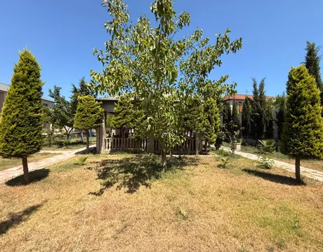 Mardakan