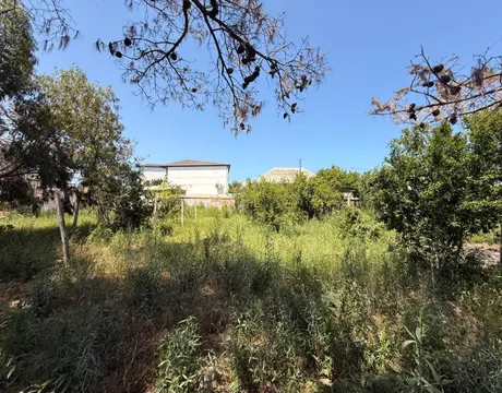 Mardakan