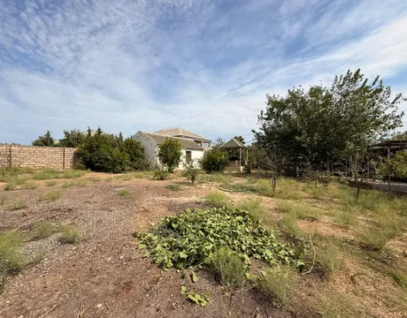 Mardakan